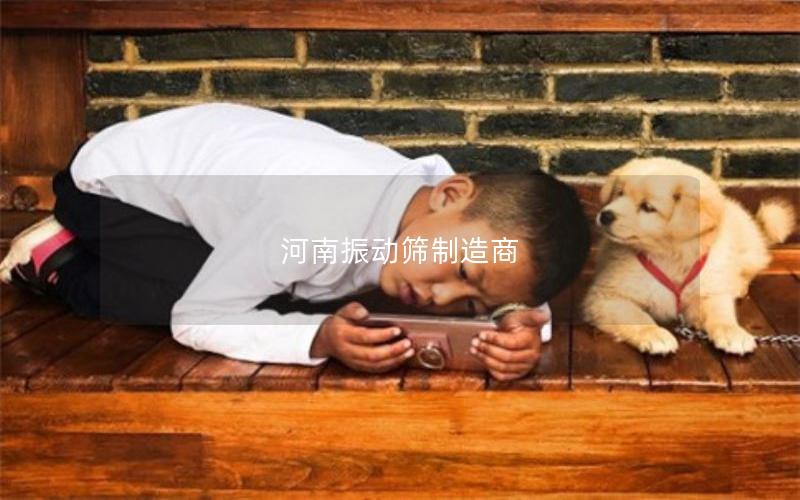 河南振动筛制造商