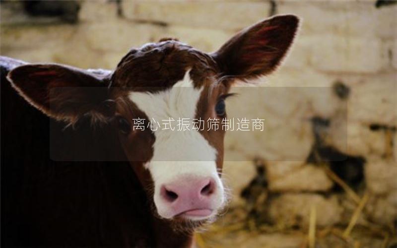 离心式振动筛制造商