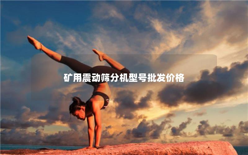 矿用震动筛分机型号批发价格