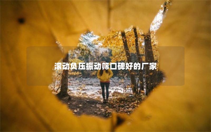 滚动负压振动筛口碑好的厂家