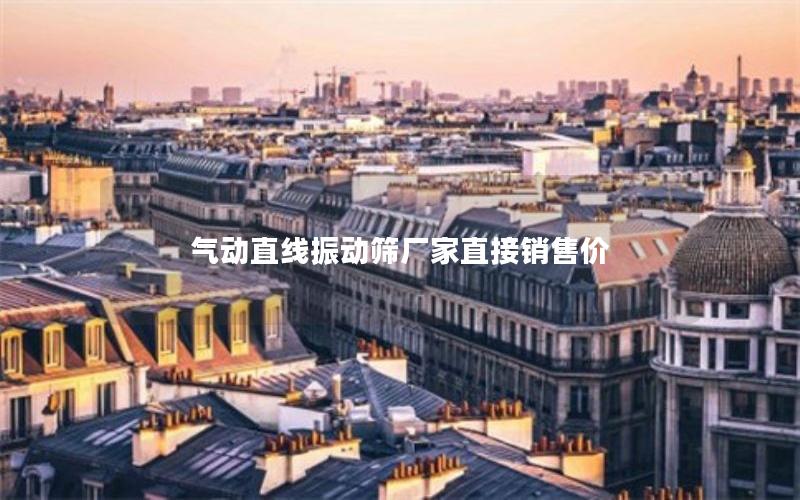 气动直线振动筛厂家直接销售价