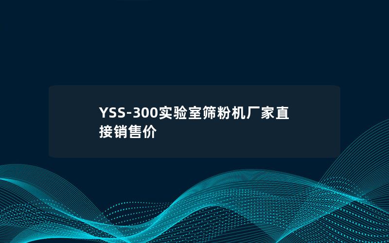 YSS-300实验室筛粉机厂家直接销售价 YSS-300实验室筛粉机厂家直接销售价