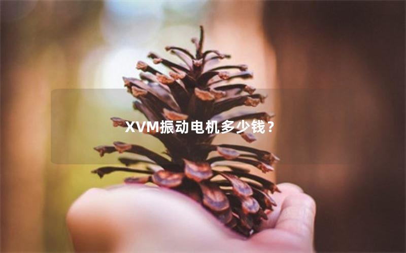 XVM振动电机多少钱? XVM振动电机多少钱?