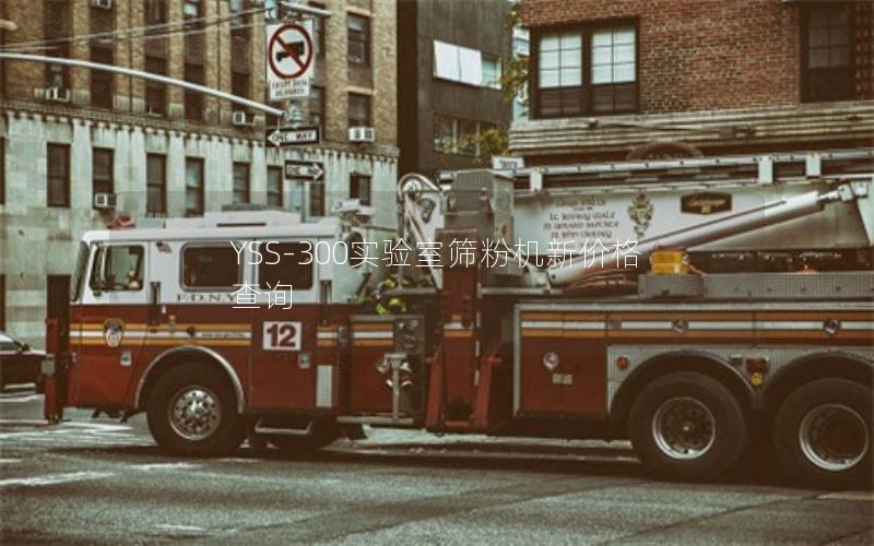 YSS-300实验室筛粉机新价格查询 YSS-300实验室筛粉机新价格查询