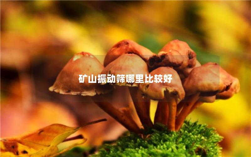 矿山振动筛哪里比较好