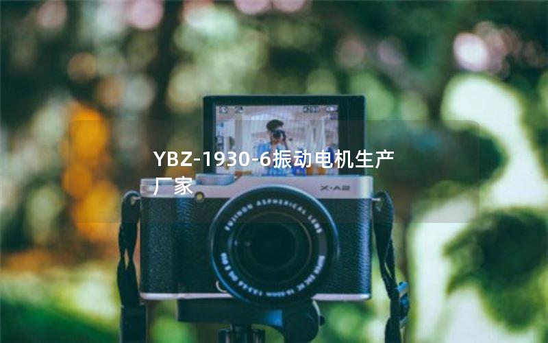 YBZ-1930-6振动电机生产厂家 YBZ-1930-6振动电机生产厂家