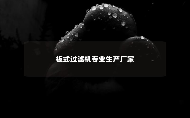 板式过滤机专业生产厂家