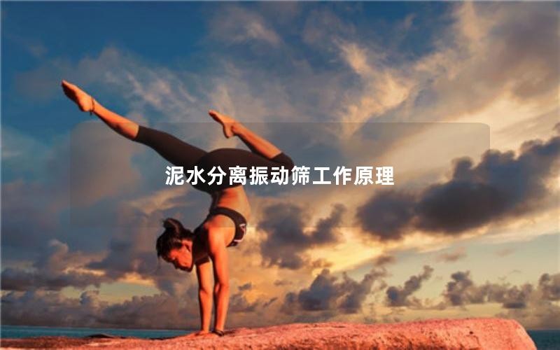 泥水分离振动筛工作原理