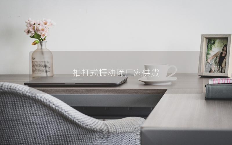 拍打式振动筛厂家供货