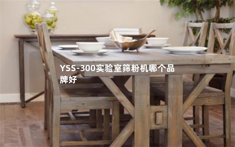 YSS-300实验室筛粉机哪个品牌好 YSS-300实验室筛粉机哪个品牌好