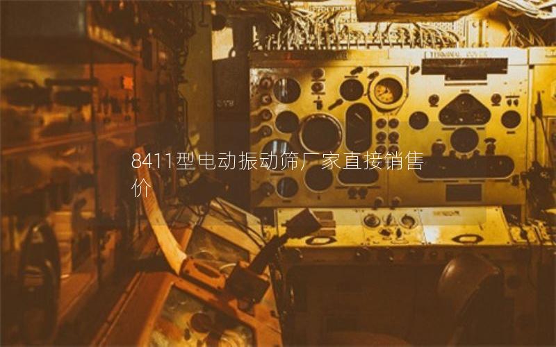 8411型电动振动筛厂家直接销售价 8411型电动振动筛厂家直接销售价