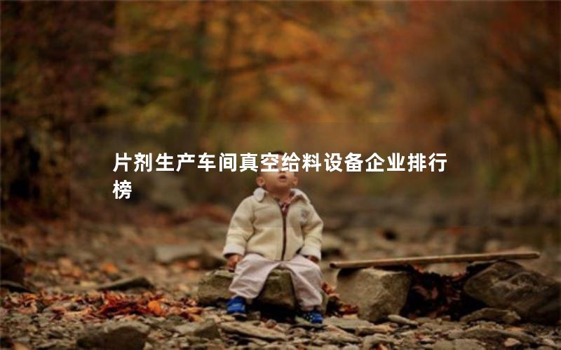 片剂生产车间真空给料设备企业排行榜