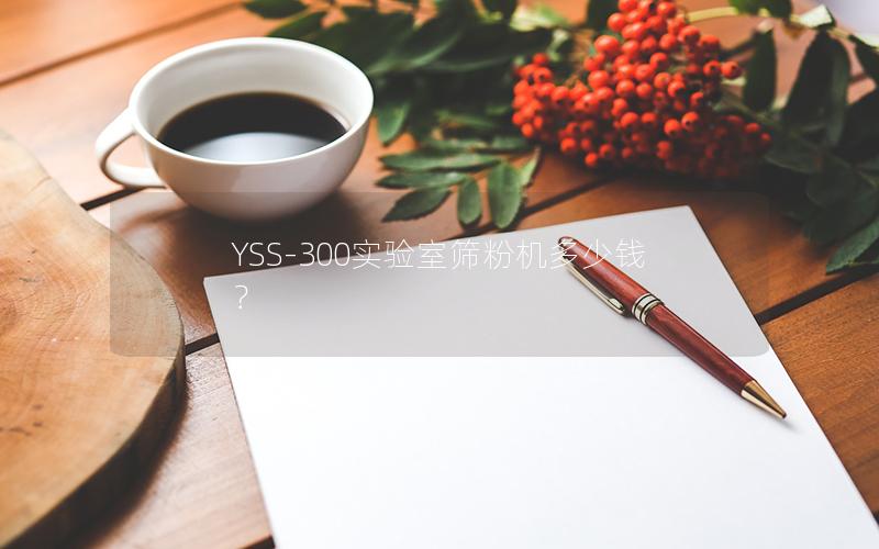 YSS-300实验室筛粉机多少钱? YSS-300实验室筛粉机多少钱?