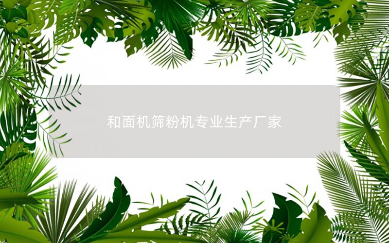和面机筛粉机专业生产厂家 和面机筛粉机专业生产厂家
