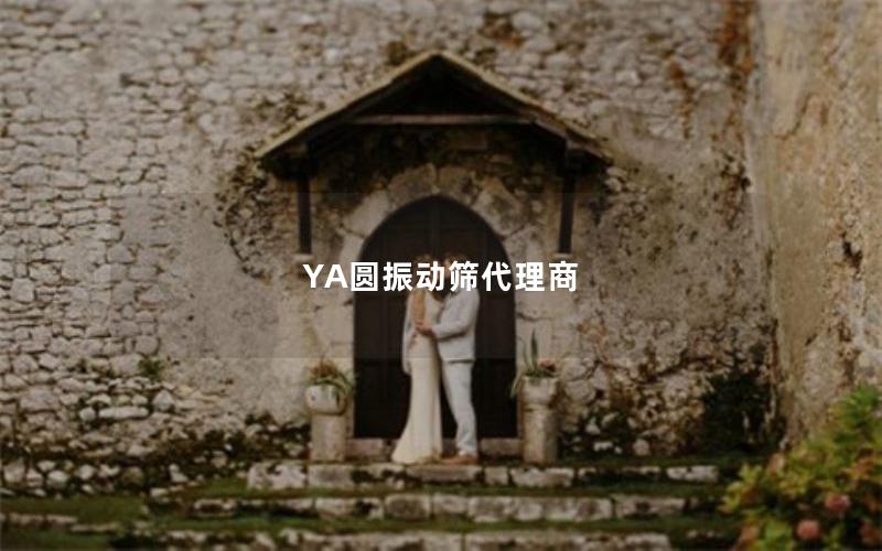 YA圆振动筛代理商 YA圆振动筛代理商