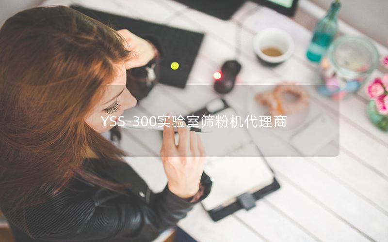 YSS-300实验室筛粉机代理商 YSS-300实验室筛粉机代理商