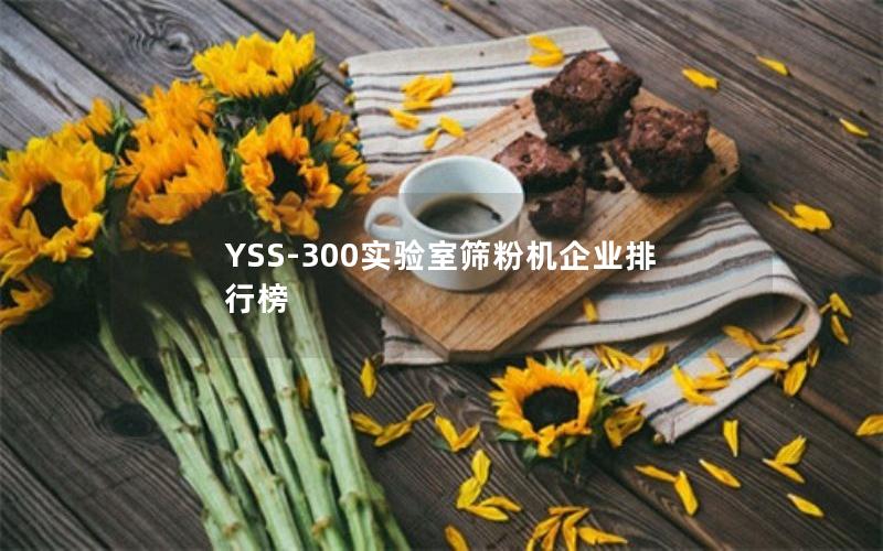 YSS-300实验室筛粉机企业排行榜 YSS-300实验室筛粉机企业排行榜