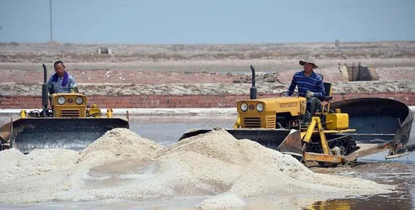 山东**制盐有限公司