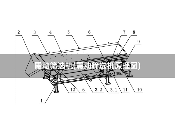 震动筛选机(震动筛选机原理图).jpg
