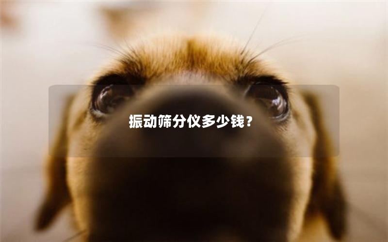 振动筛分仪多少钱？