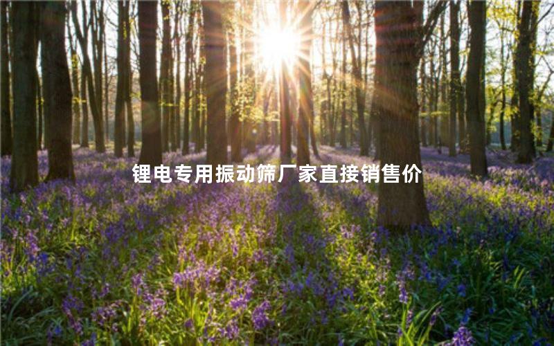 锂电专用振动筛厂家直接销售价