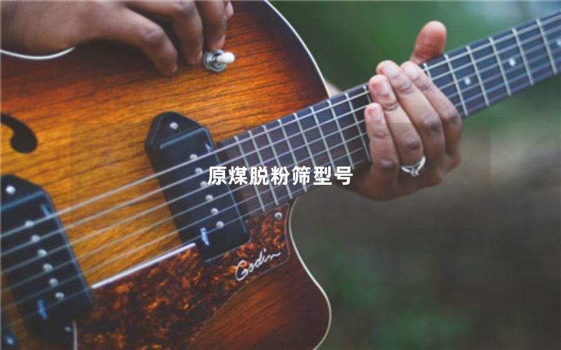 原煤脱粉筛型号