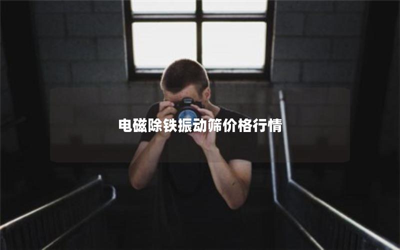 电磁除铁振动筛价格行情