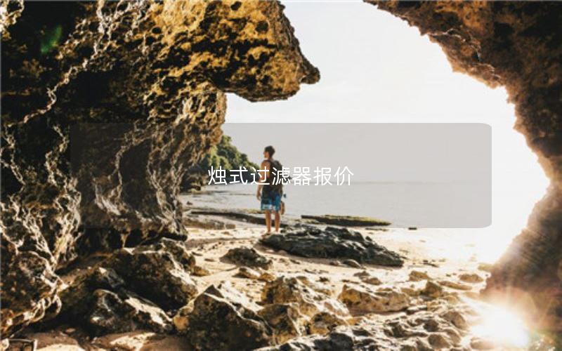 烛式过滤器报价