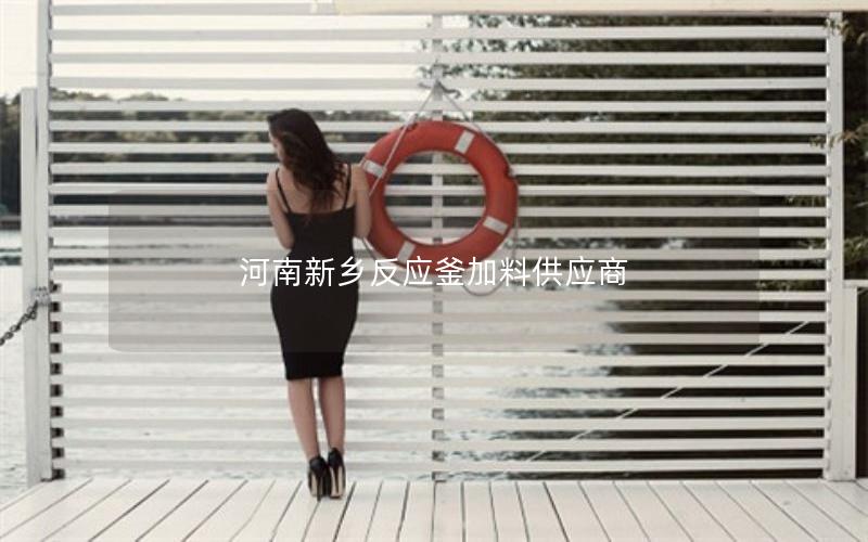 河南新乡反应釜加料供应商