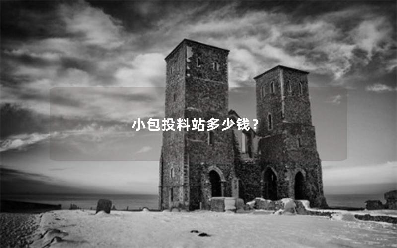 小包投料站多少钱？