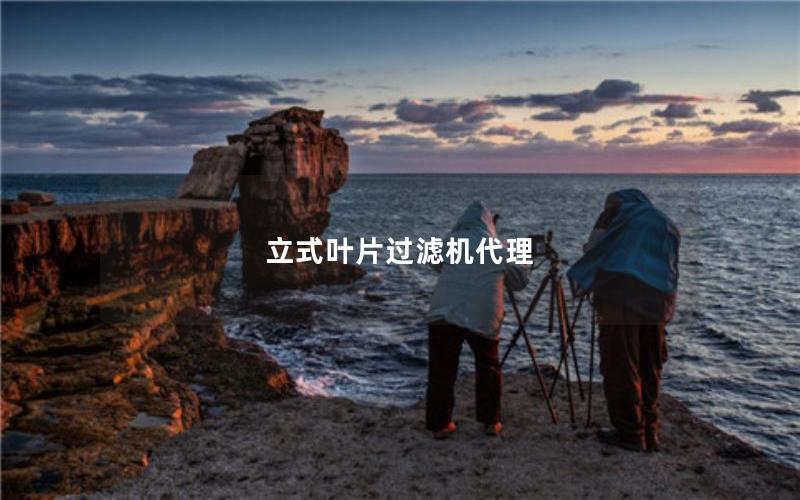 立式叶片过滤机代理