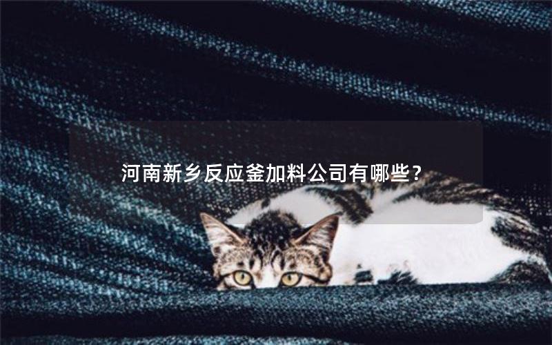 河南新乡反应釜加料公司有哪些？