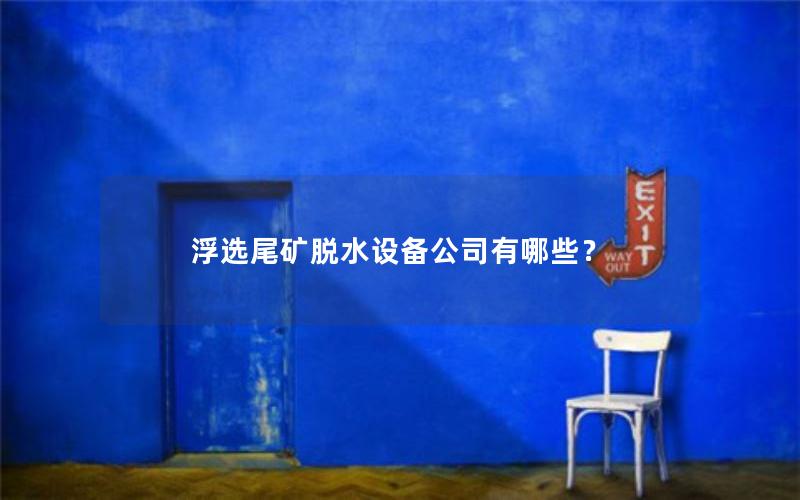 浮选尾矿脱水设备公司有哪些？