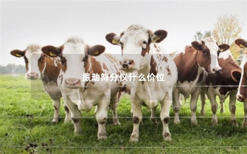 振动筛分仪什么价位