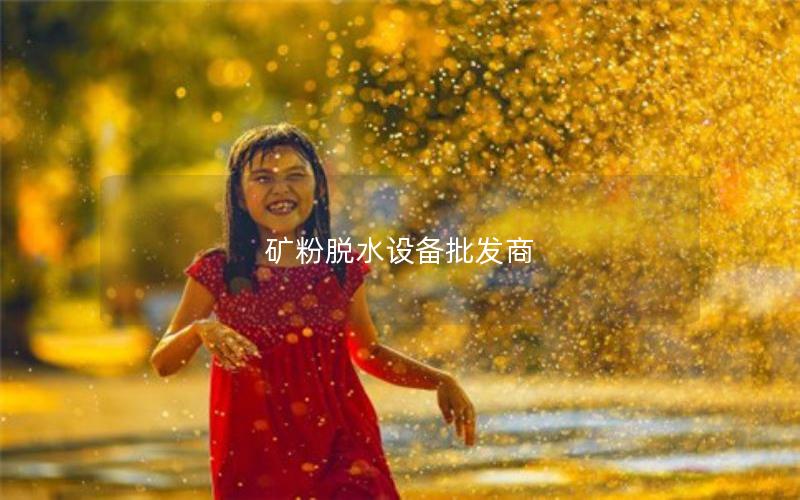 矿粉脱水设备批发商 矿粉脱水设备批发商