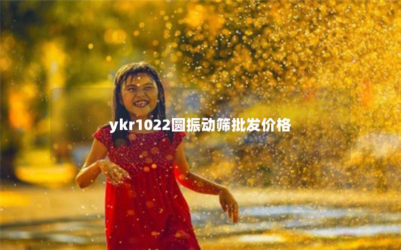 ykr1022圆振动筛批发价格