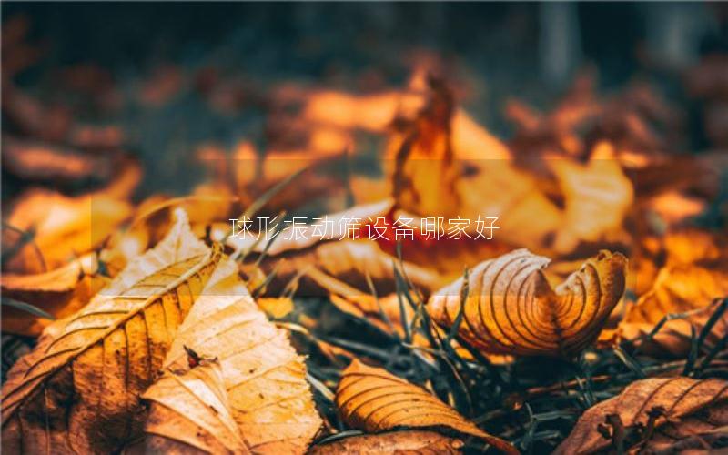 球形振动筛设备哪家好 球形振动筛设备哪家好