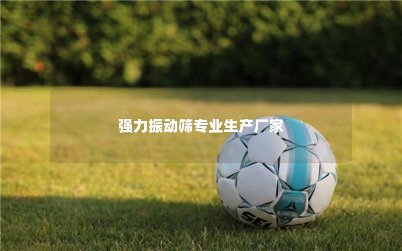 强力振动筛专业生产厂家