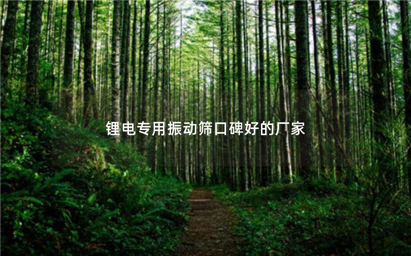 锂电专用振动筛口碑好的厂家