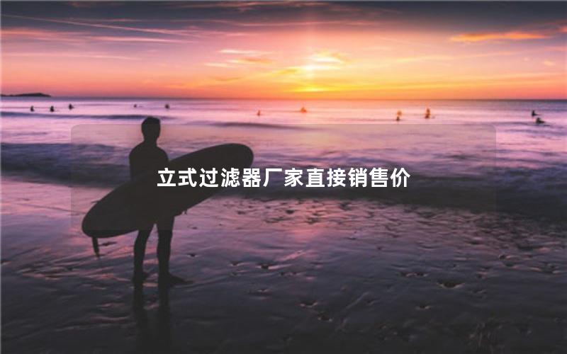 立式过滤器厂家直接销售价