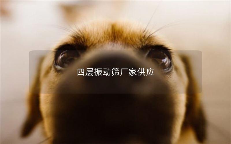 四层振动筛厂家供应