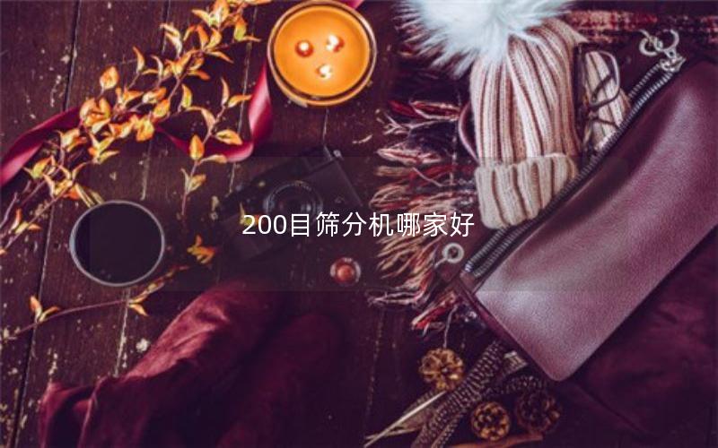 200目筛分机哪家好