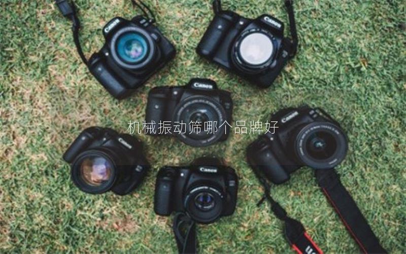 机械振动筛哪个品牌好