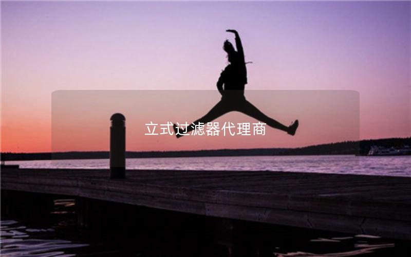 立式过滤器代理商 立式过滤器代理商