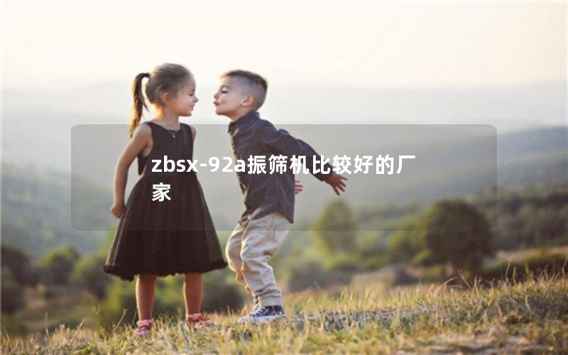 zbsx-92a振筛机比较好的厂家 zbsx-92a振筛机比较好的厂家