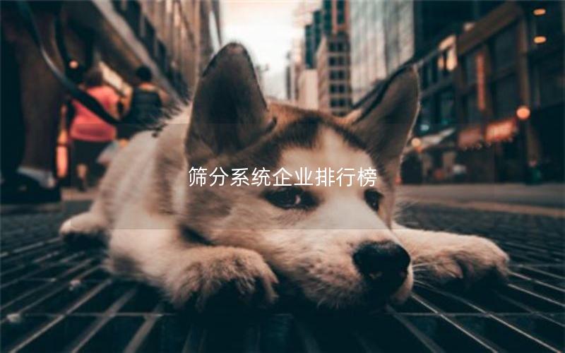 筛分系统企业排行榜