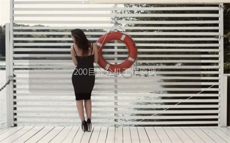 200目筛分机工作原理 200目筛分机工作原理