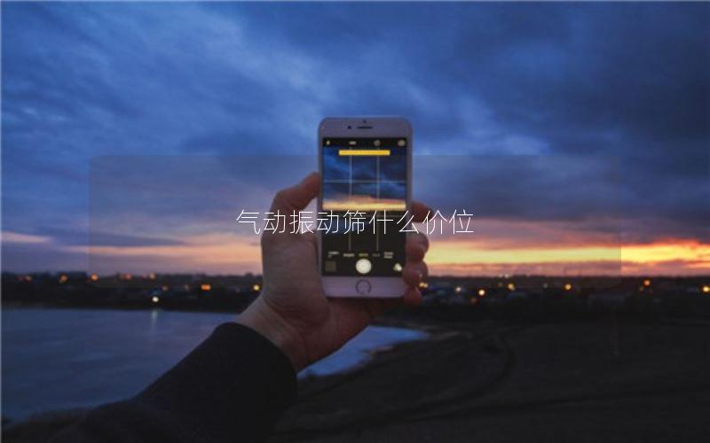 气动振动筛什么价位