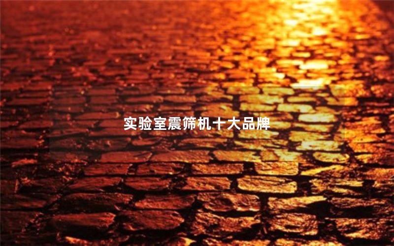 实验室震筛机十大品牌