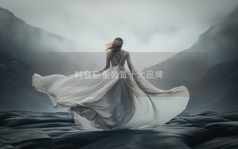 料仓称重装置十大品牌 料仓称重装置十大品牌